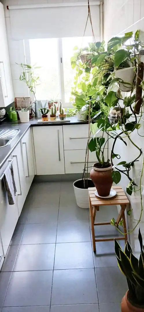 Kitchen of Flat for sale in Sevilla  with Air Conditioner and Storage room