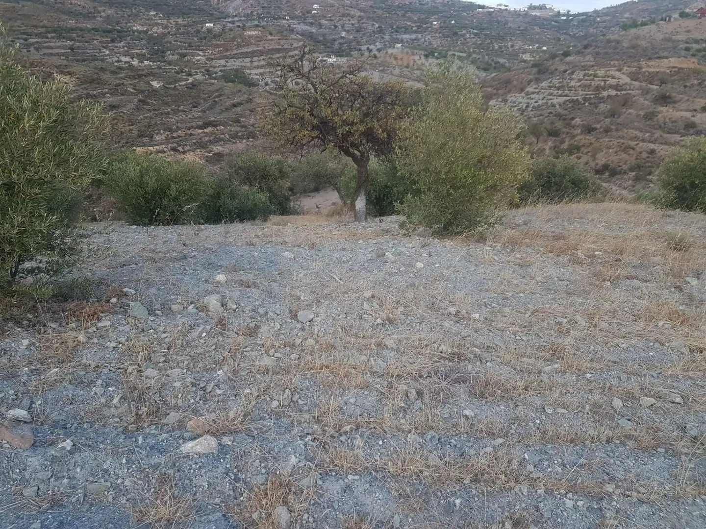 Terreni e lotti in vendita a Felix, imagen 15