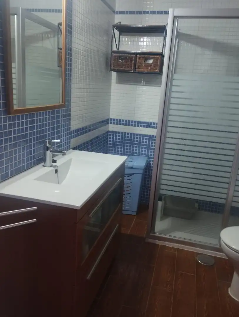 Bathroom of Detached homes for rent in Sevilla  with Air Conditioner, Heating and Terrace