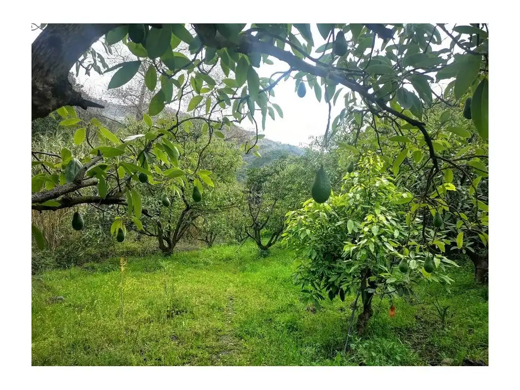 Finca rústica en venda en Jubrique