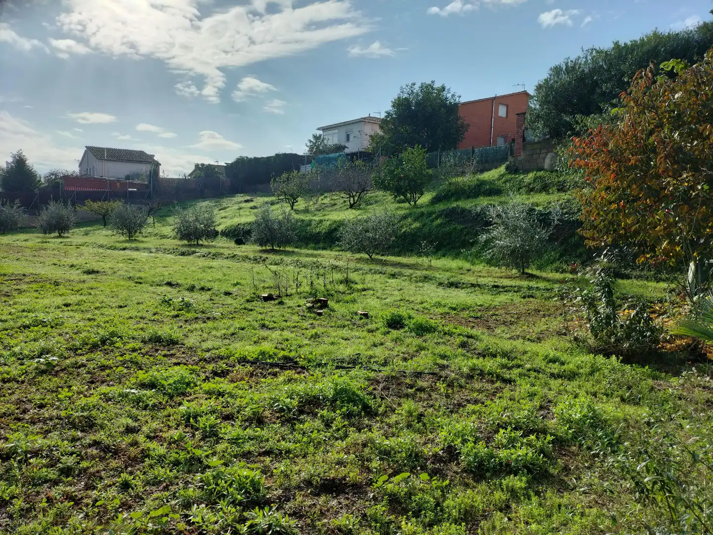 Terreno rústico en venta en Els Hostalets de Pierola