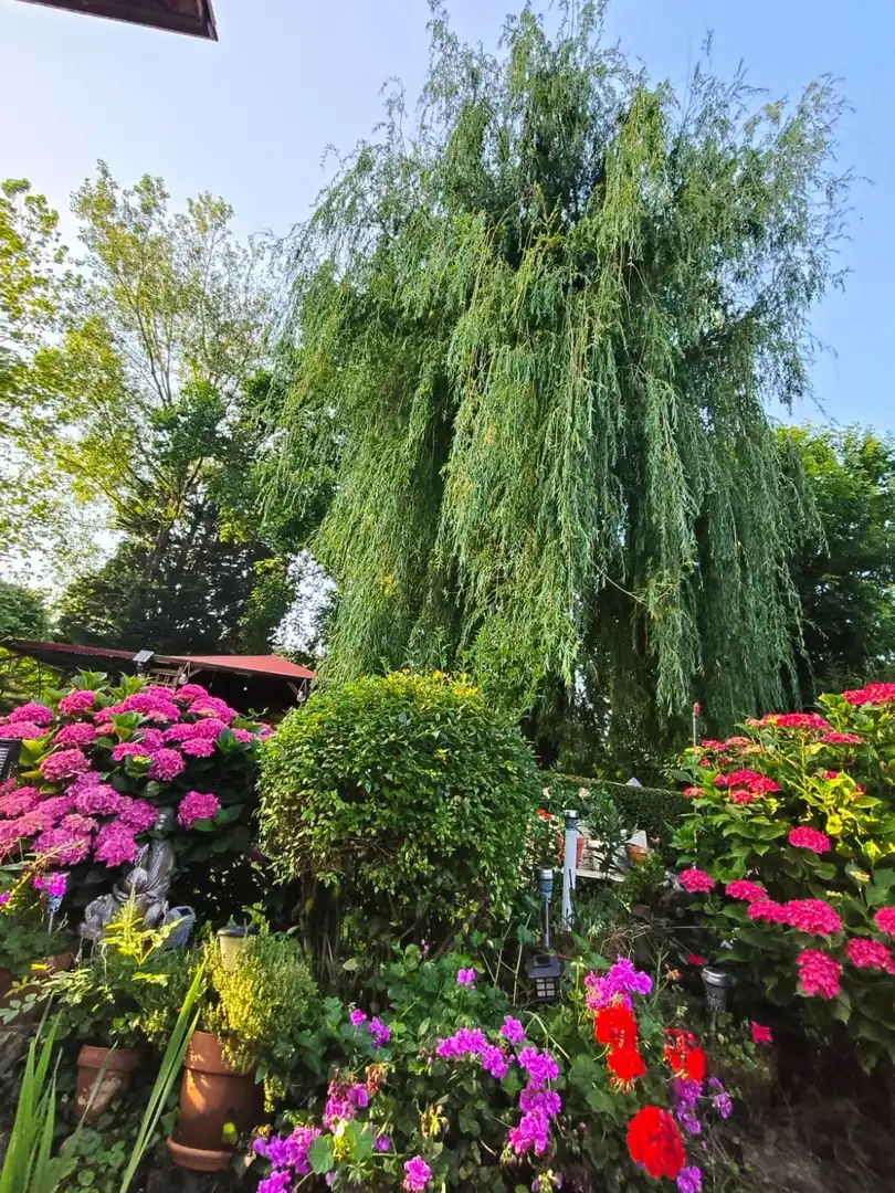 Haus mit Garten zum Verkauf in Bedia, imagen 56