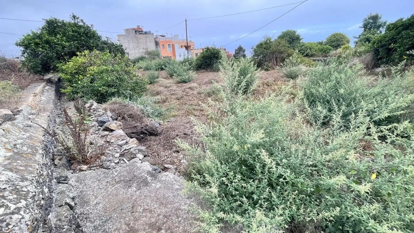 Finca rústica en venta en La Orotava