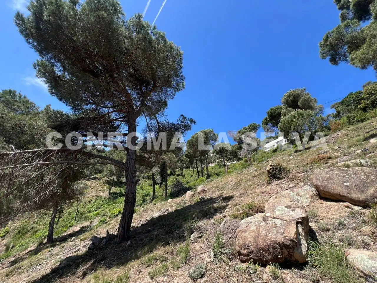 Terreno residencial en venta en Serra Brava, imagen 11