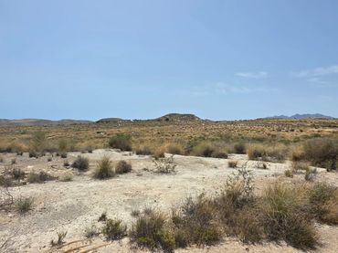 Terreno rústico en venta en calar alto