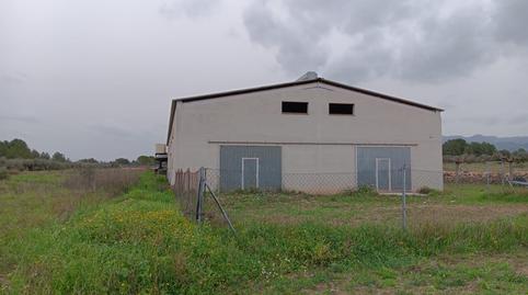 Foto 5 von Fabrikhallen zum Verkauf in Ginestar, Tarragona
