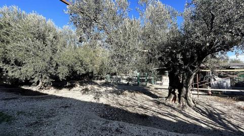 Photo 2 of House or chalet for sale in Moratalla, Moratalla, Murcia