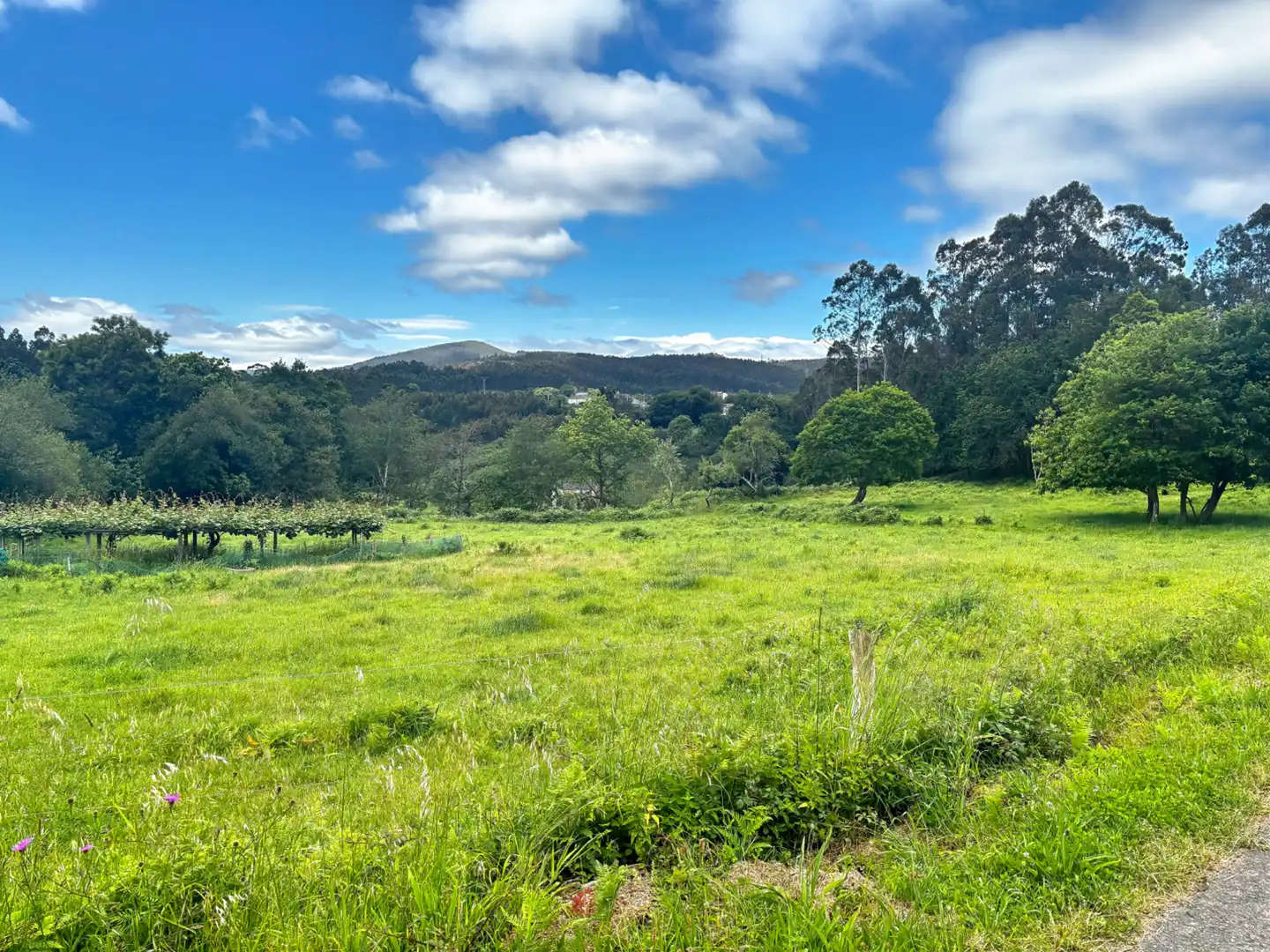 Casa o chalet en venta en Burela con Calefacción, Jardín privado y Trastero