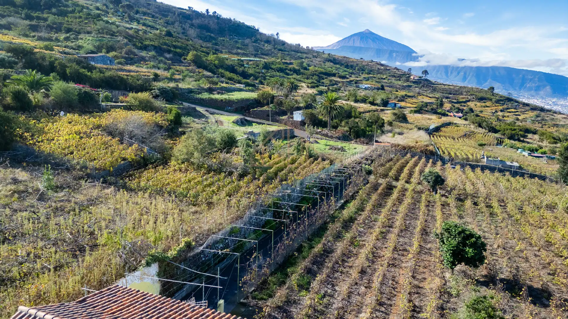 Finca rústica en venda en Santa Úrsula amb Terrassa