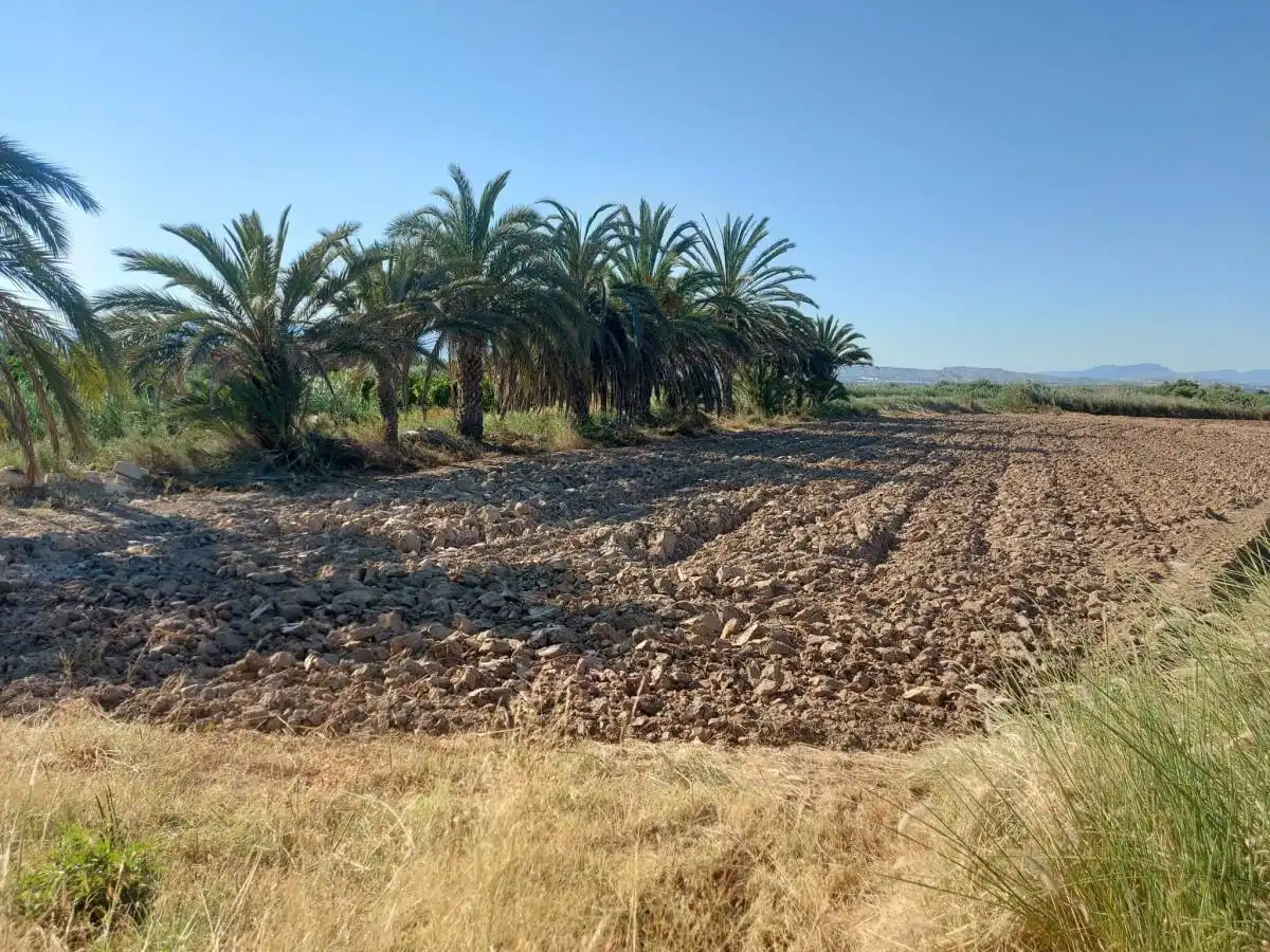 Residencial en venta en Catral