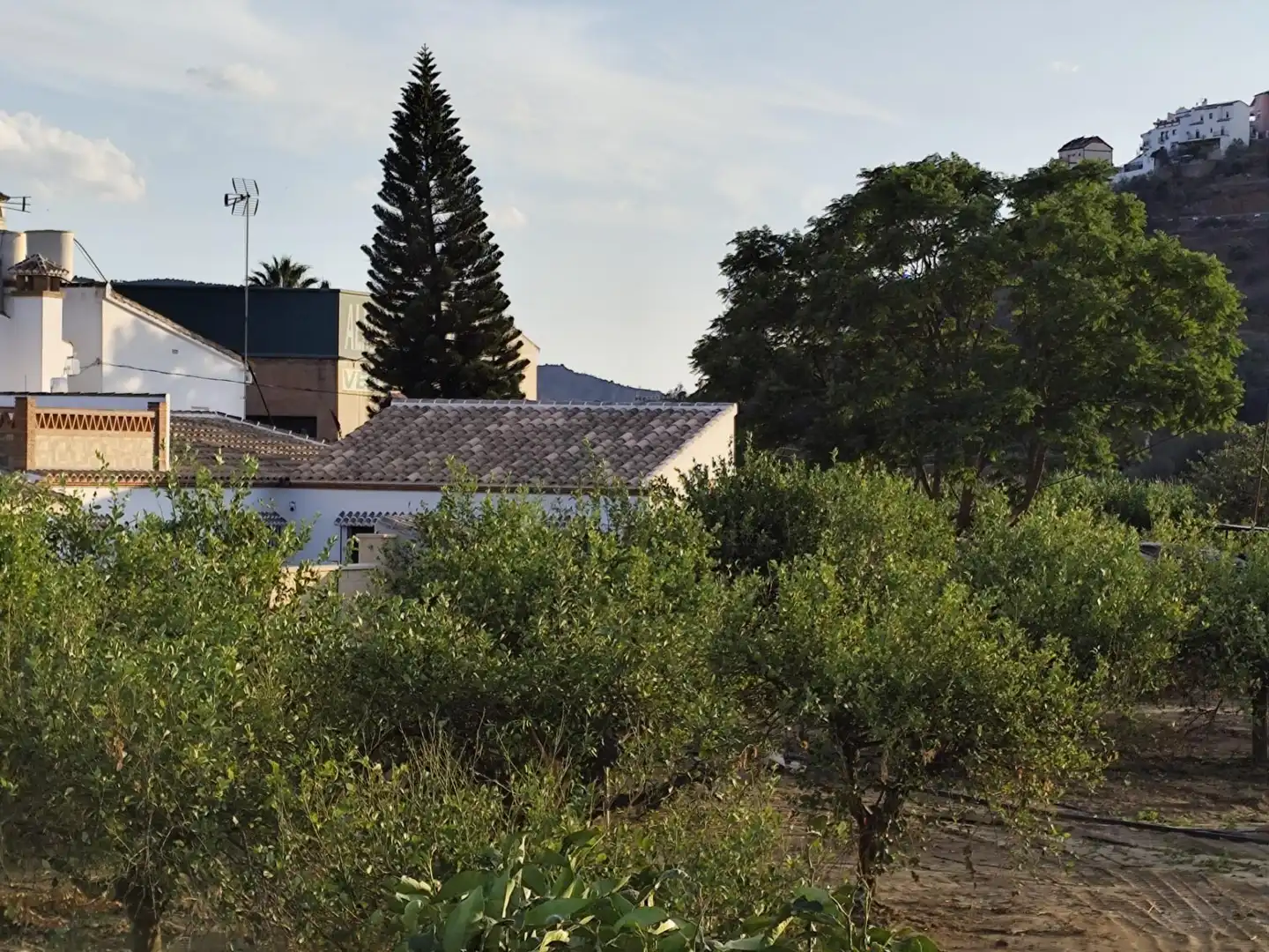 Rustikales Grundstück zum Verkauf in poligono 31, imagen 6