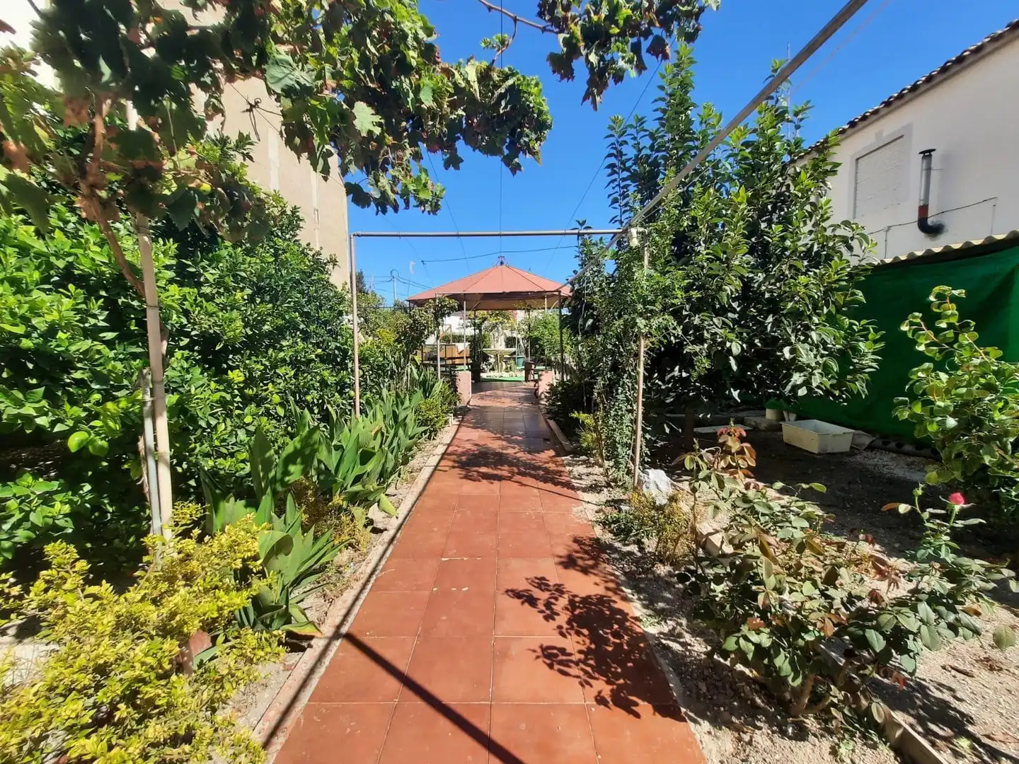Jardí de Casa o xalet en venda en Mula amb Terrassa