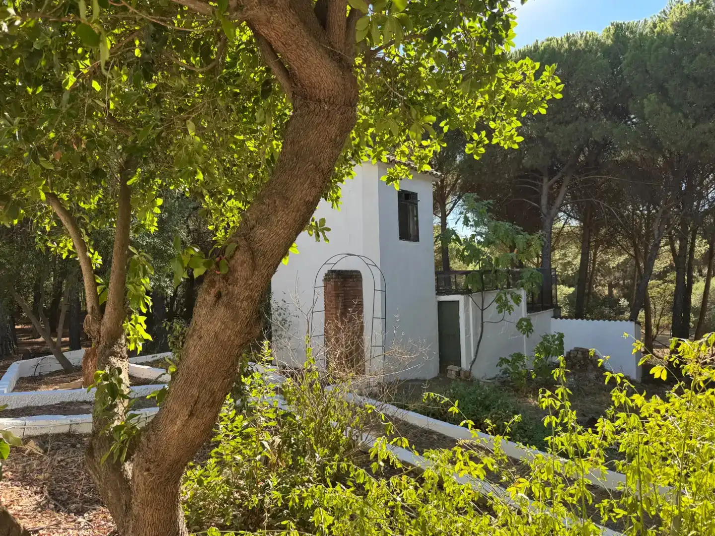 Jardí de Apartament en venda en Andújar amb Aire condicionat, Terrassa i Piscina