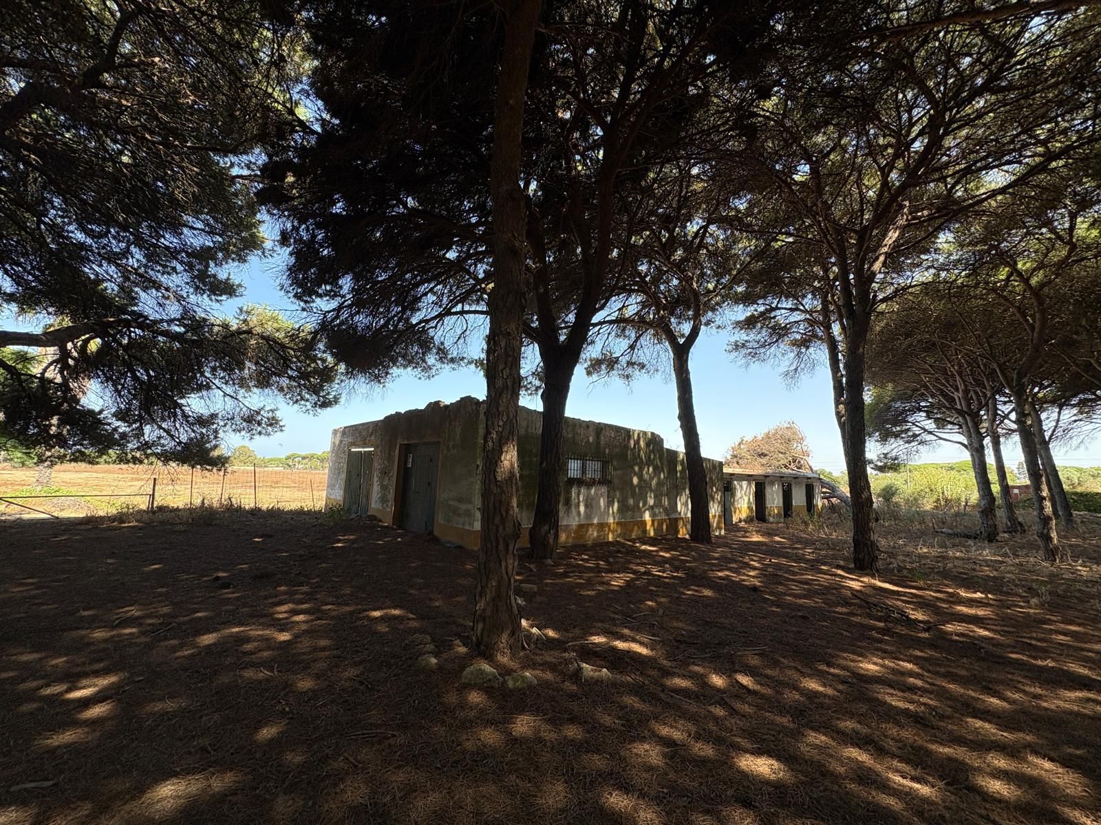 Exterior view of Land for sale in Chiclana de la Frontera
