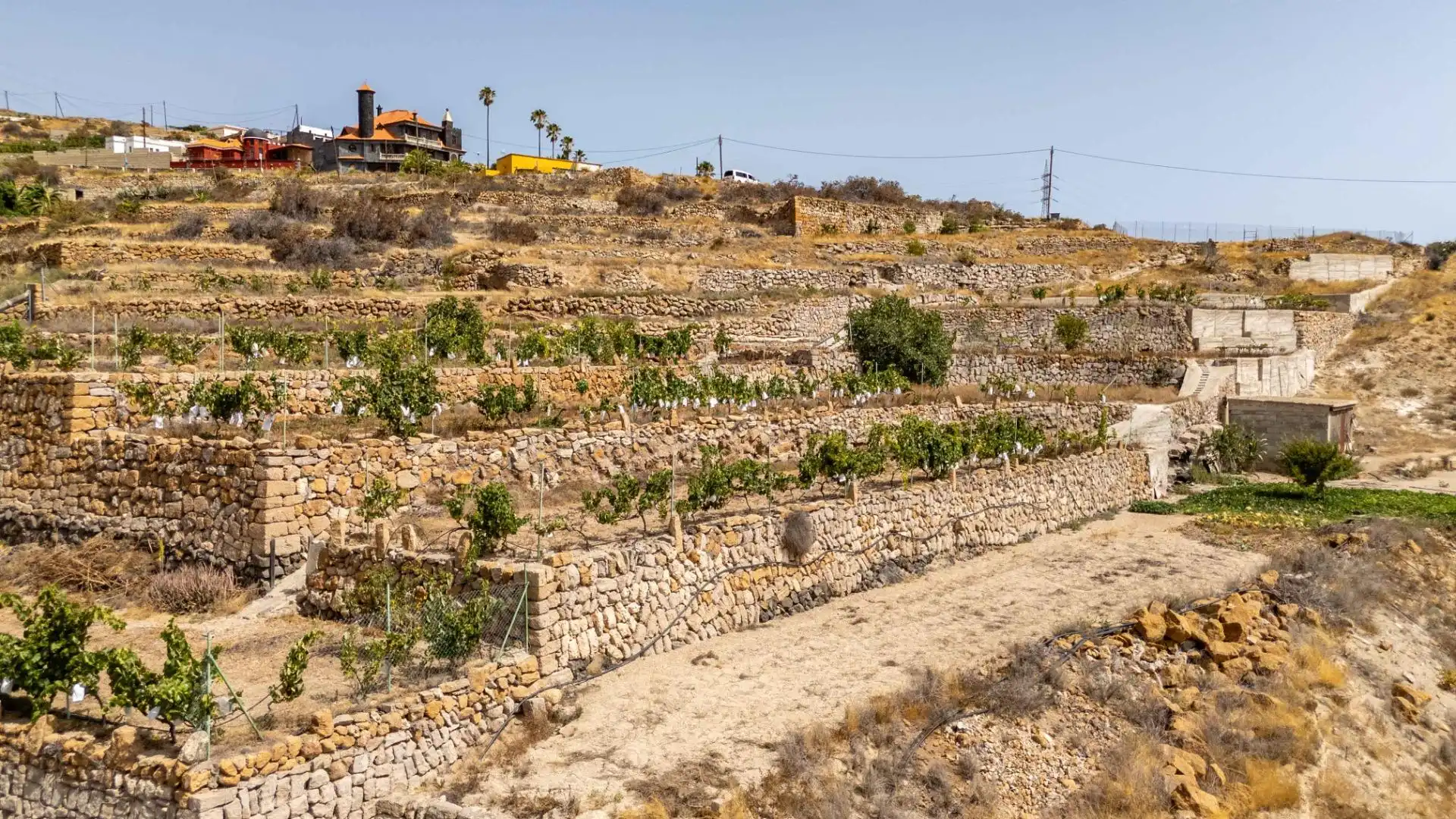 Finca rústica en venda en Güímar