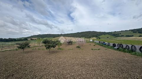 Foto 3 von Grundstücke zum Verkauf in Vejer, Vejer de la Frontera