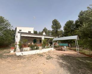 Garden of House or chalet for sale in Almansa