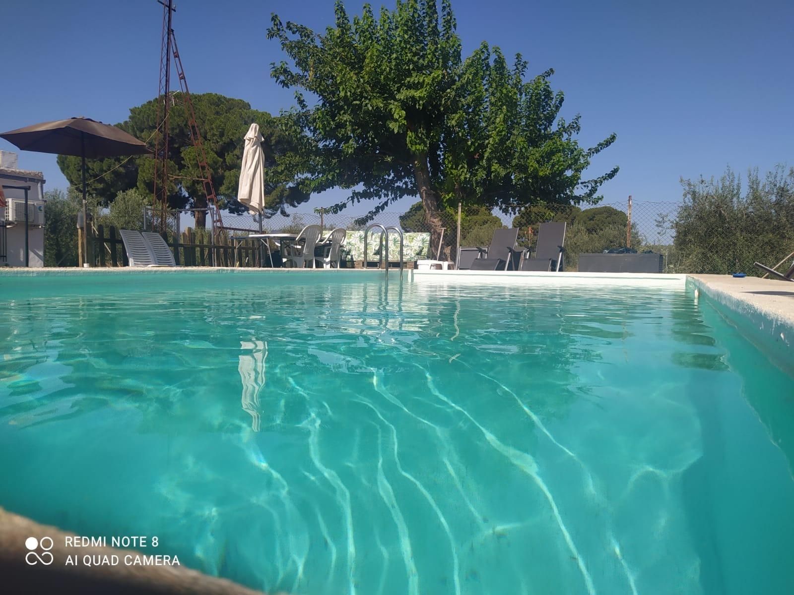 Piscina de Casa o xalet en venda en Arahal amb Piscina comunitària