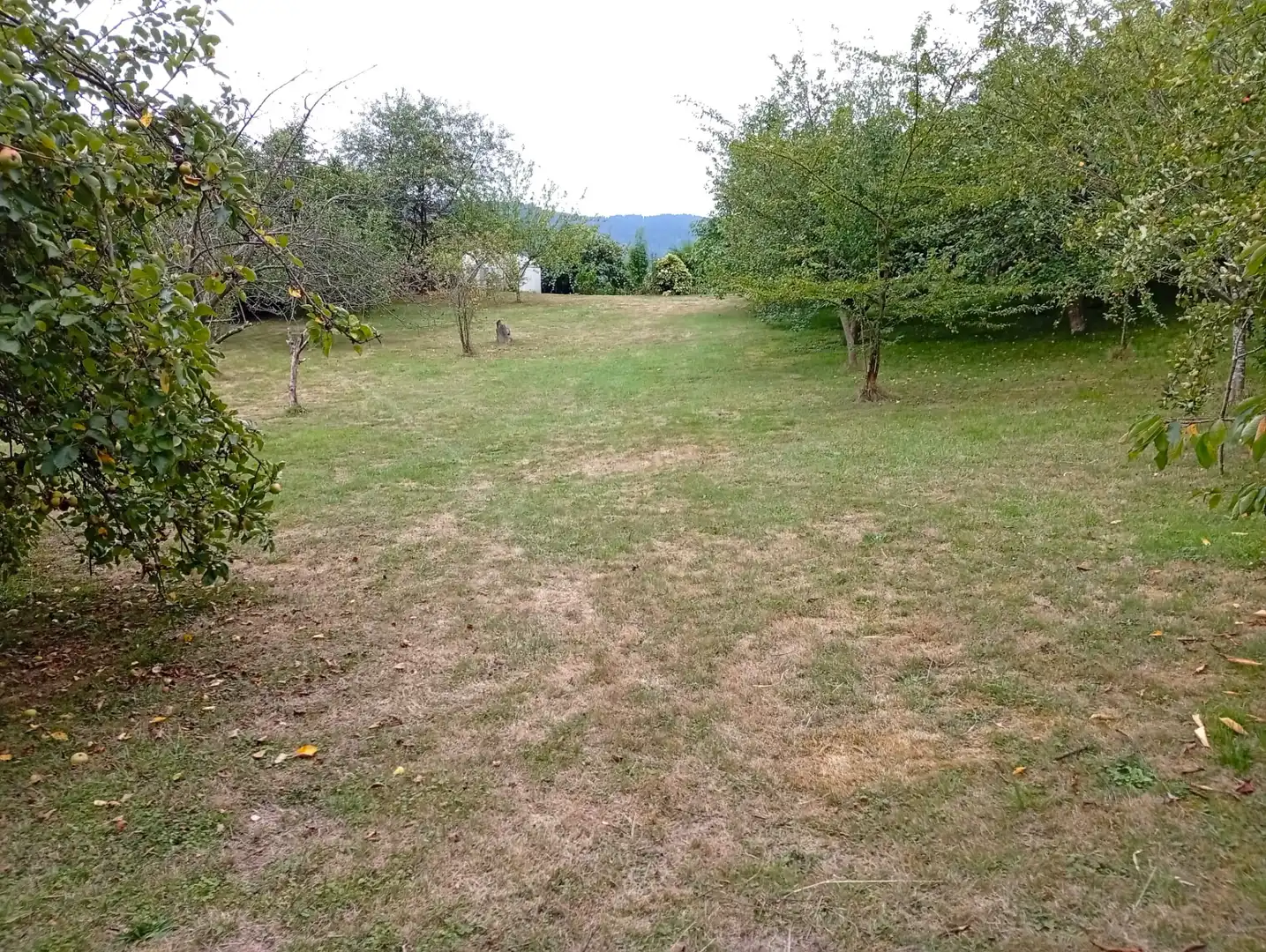 Terreny rústic en venda a Camín de la Xía 686, imagen 15