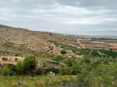 Terreny rústic en venda a Carlet, imagen 4
