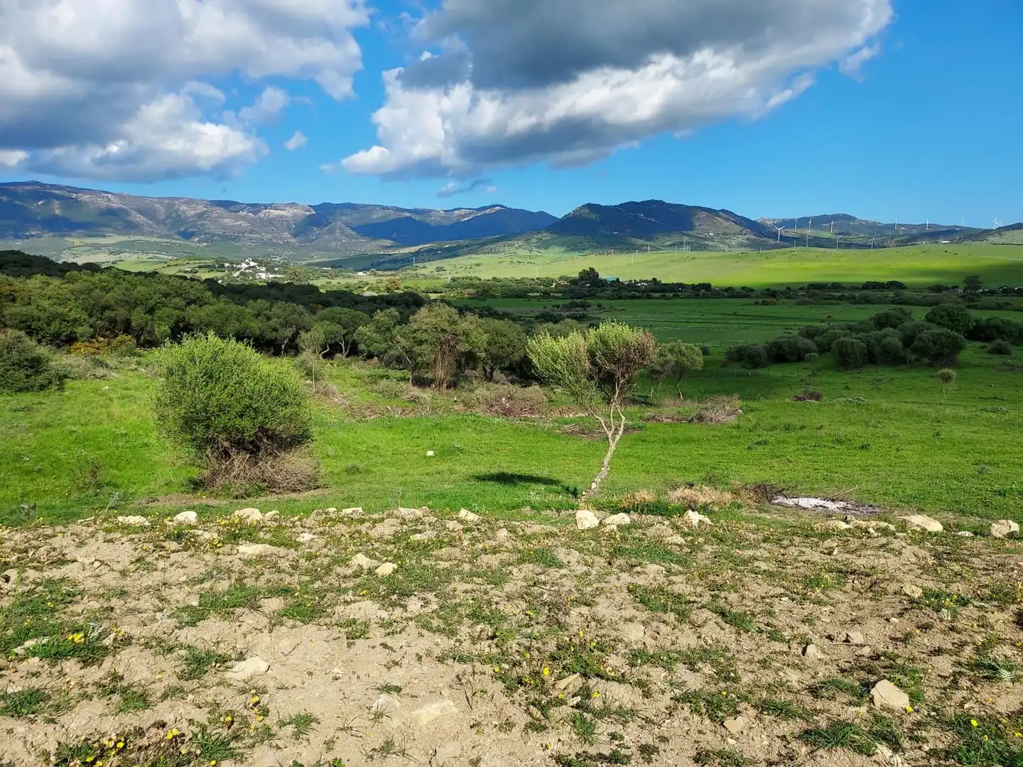 Terreni e lotti in vendita a Tarifa ciudad, imagen 5