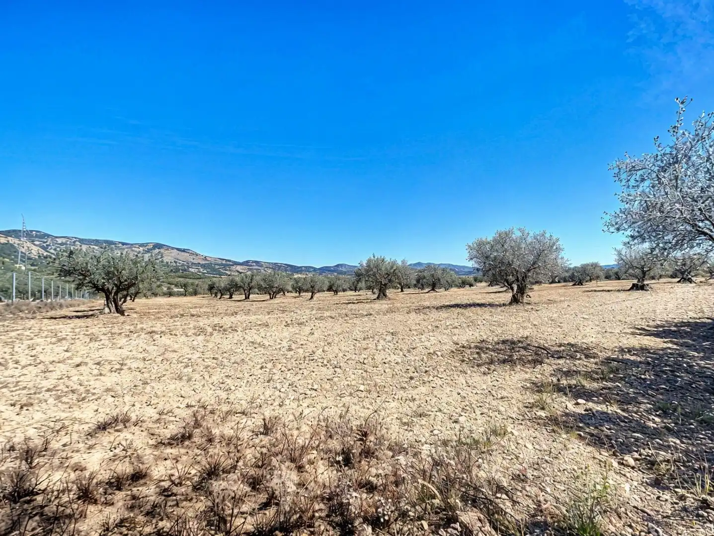 Land for sale in Castalla