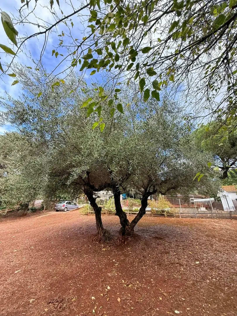 Haus mit Pool zum Verkauf in Periurbano Oeste - Sierra, imagen 7