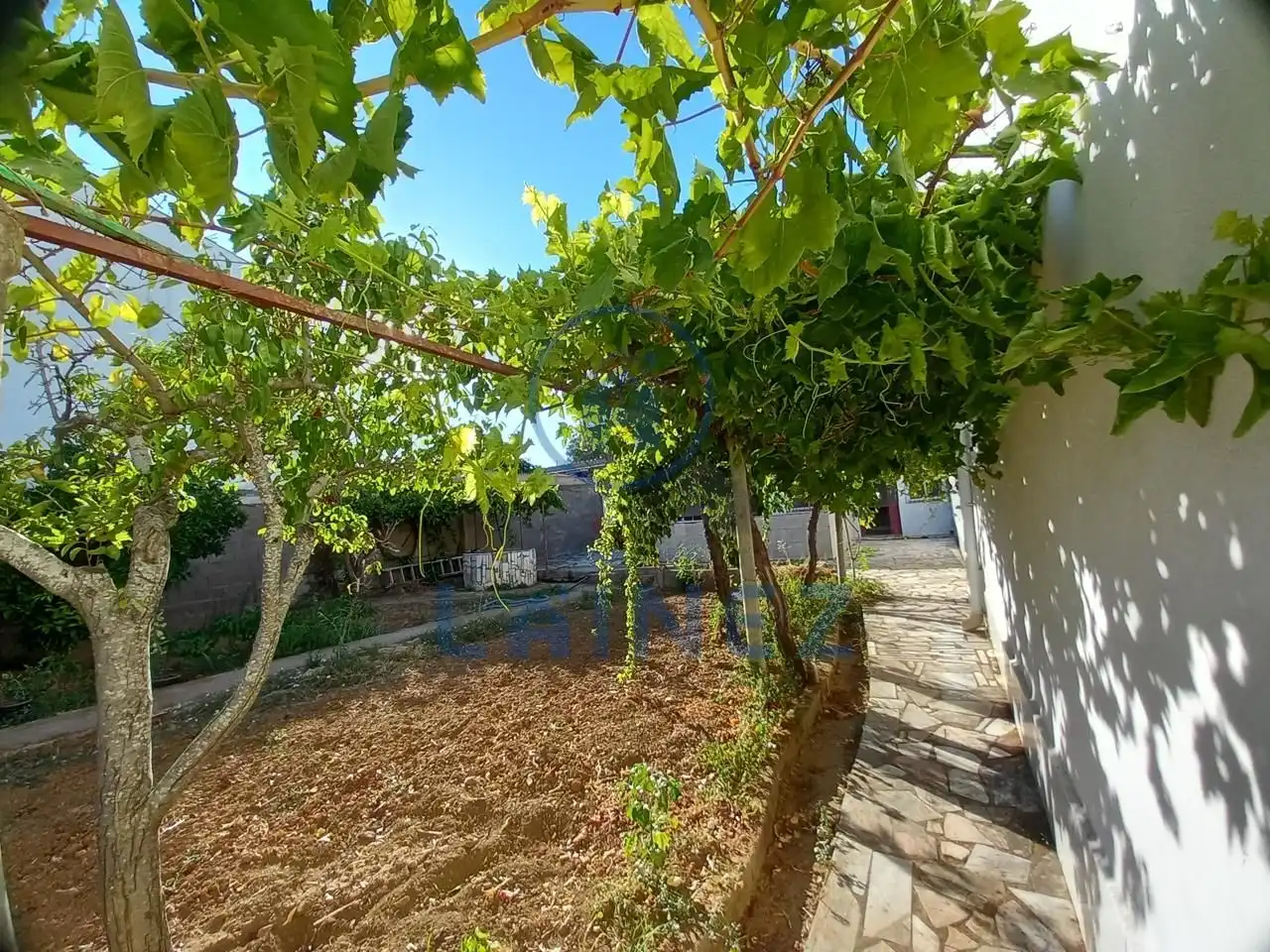 Jardí de Casa o xalet en venda en Puebla de Sancho Pérez amb Jardí privat, Terrassa i Traster