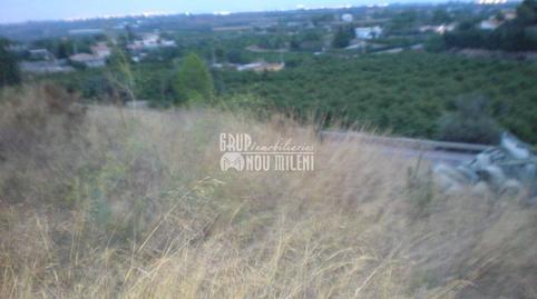 Photo 2 of Industrial land for sale in Olimar - Carambolo - Atalaya de Levante, Valencia