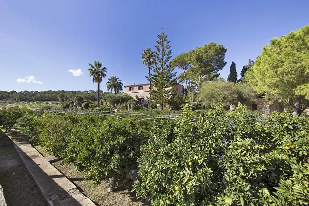 Casa rústica en venta en Montuïri, imagen 25