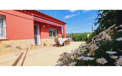 Jardí de Casa o xalet en venda en Rubí amb Aire condicionat, Terrassa i Piscina