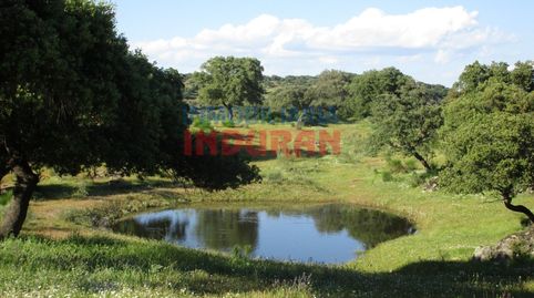 Foto 5 de Finca rústica en venda a Diseminados Navalpicaza, Valdelacasa de Tajo, Cáceres
