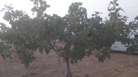 Photo 2 of Land for sale in Calle Quintanar de la Orden, 2, La Reconquista, Toledo