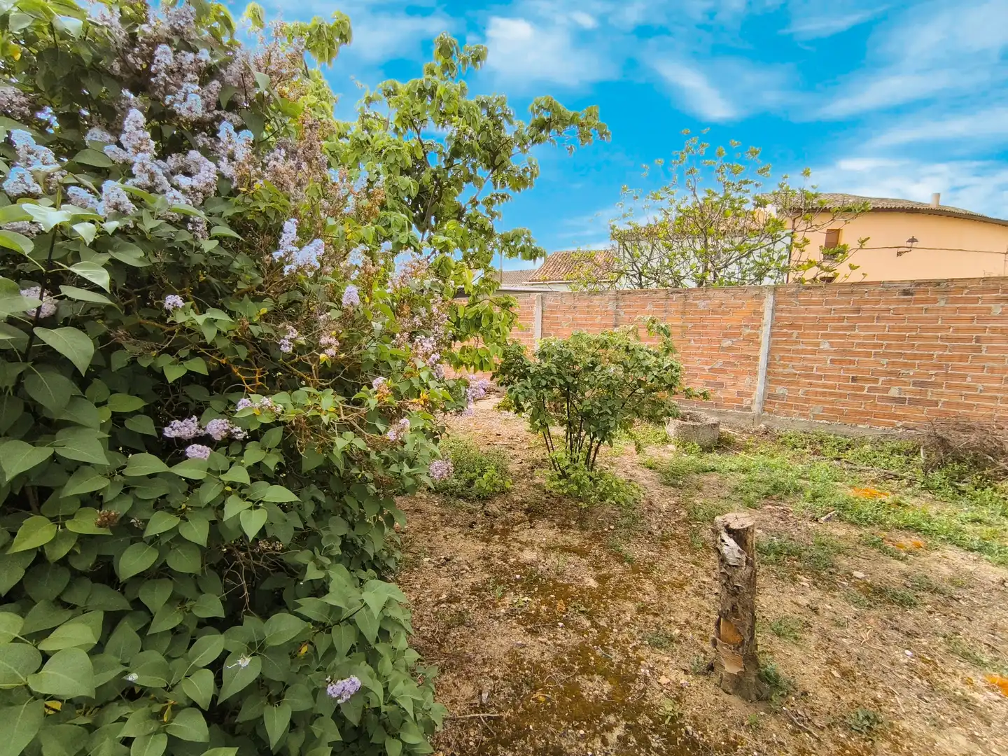 Jardí de Casa o xalet en venda en Pedraza de Campos amb Calefacció, Jardí privat i Traster