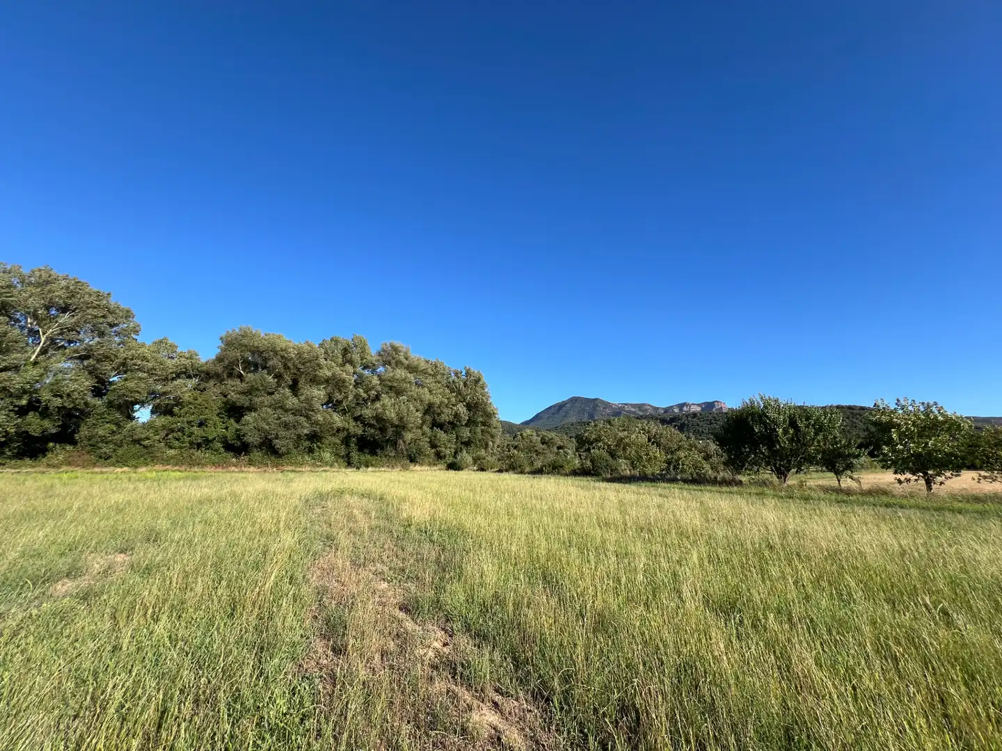 Terreno en venta en Santa Cilia