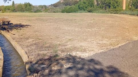 Finca rústica muy cerca del casco urbano de 5.000 metros de superficie,, immagine 3