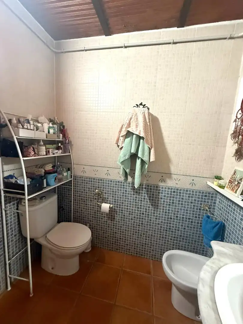 Bany de Casa o xalet en venda en Villanueva del Río y Minas amb Jardí privat, Terrassa i Traster