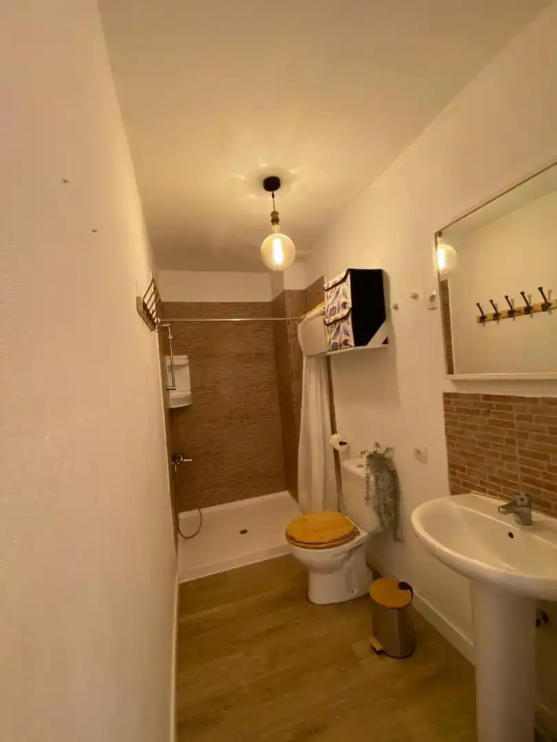 Bathroom of Flat for rent in Mogán  with Furnished, Oven and Washing machine