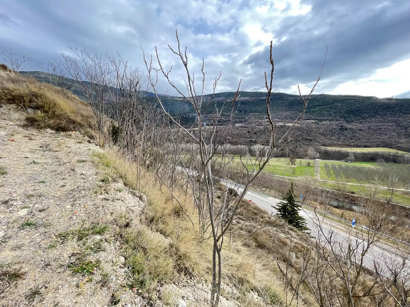 Terreno rustico in vendita a Diseminado Afores