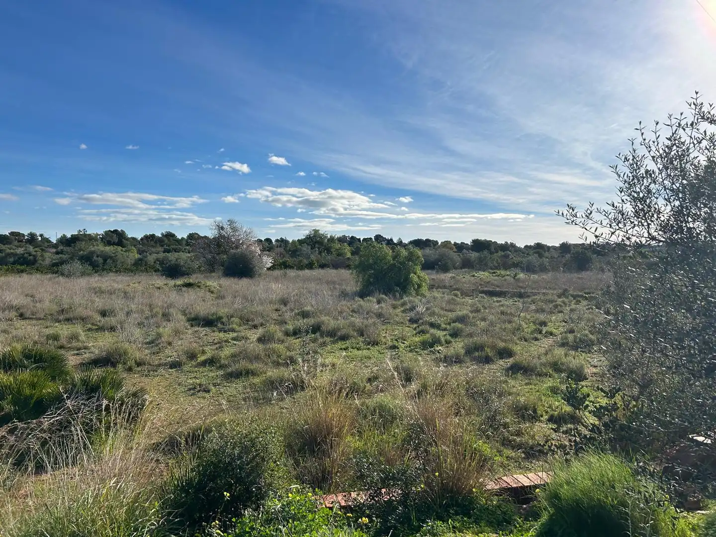 Rural land for sale in La Conarda - Montesano, imagen 2