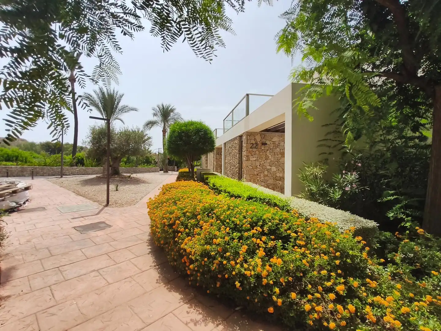 Flat with pool for sale in Poble Nou - Montiboli, imagen 12