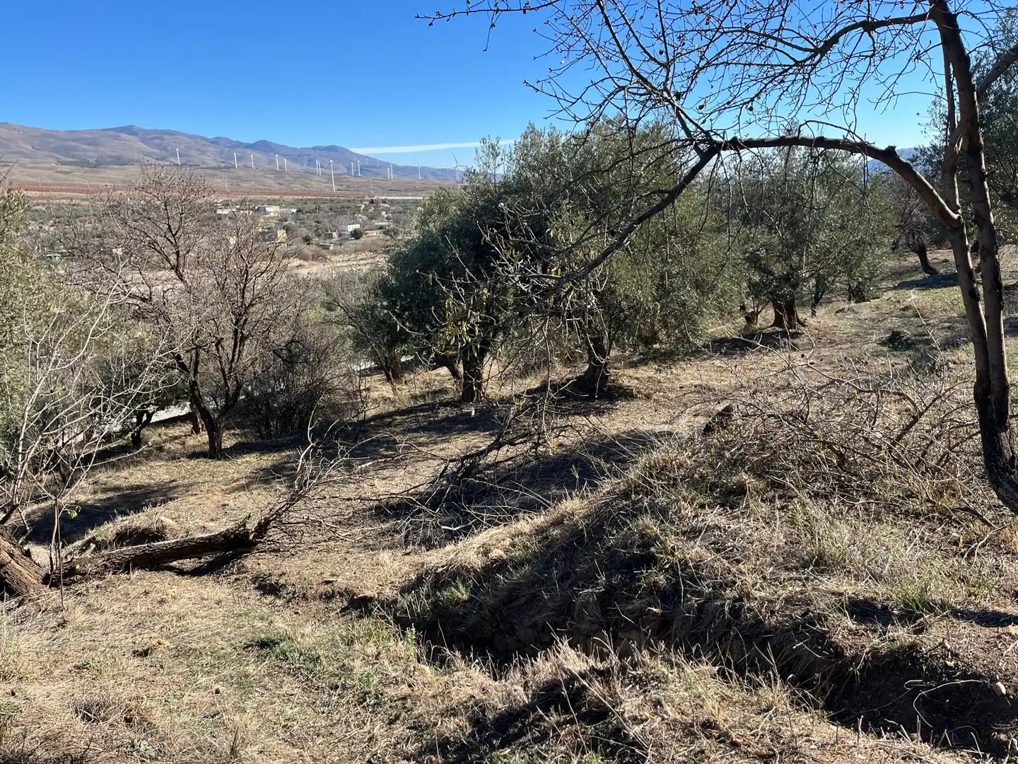 Finca rústica en venda en Fiñana amb Aire condicionat, Jardí privat i Terrassa