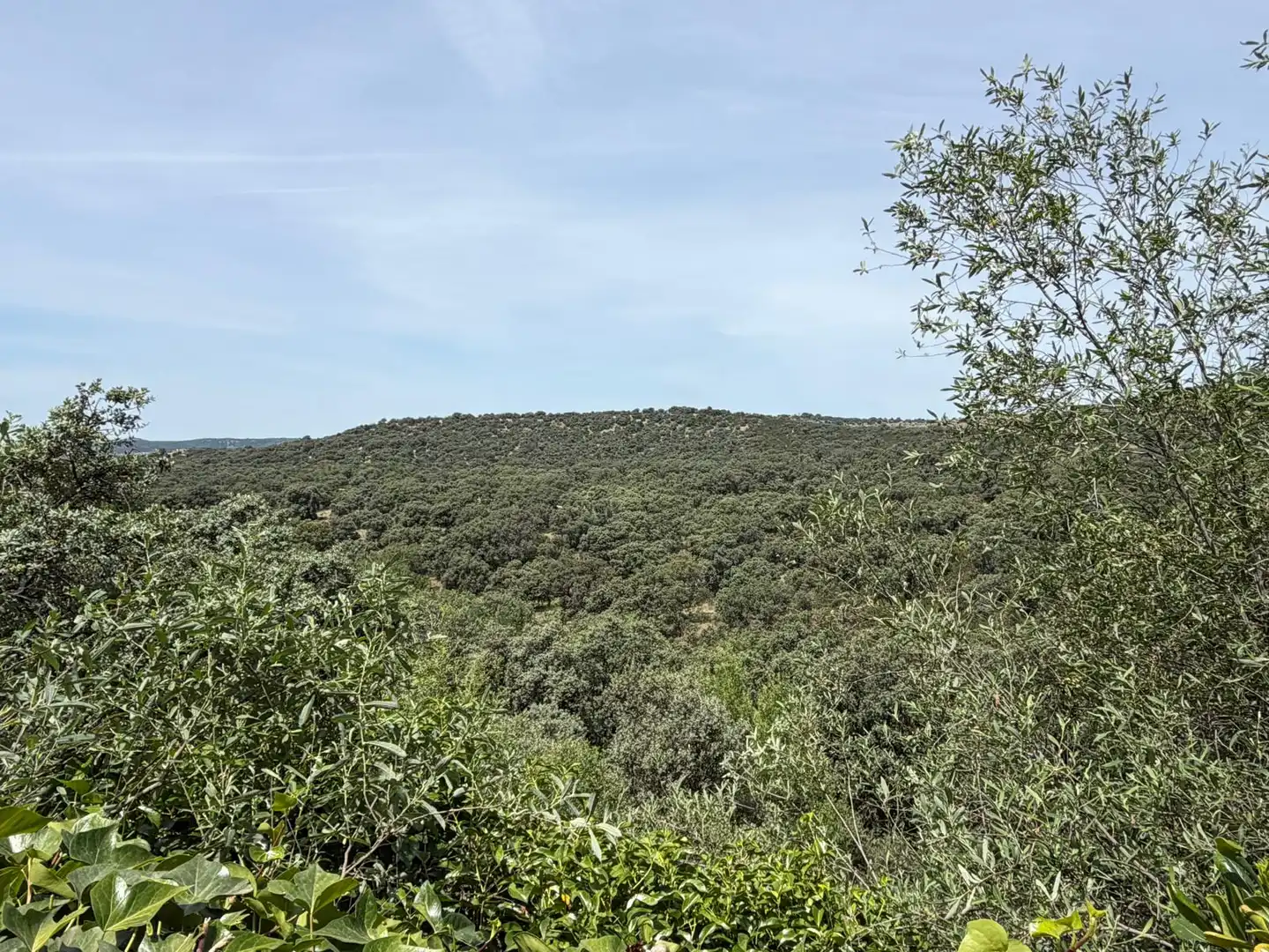 Casa o chalet de alquiler en Las Rozas de Madrid con Aire acondicionado, Calefacción y Jardín privado