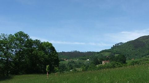 FINCA LLANA, SOLEADA Y CON VISTAS EN PUEBLO CON SERVICIOS, immagine 2