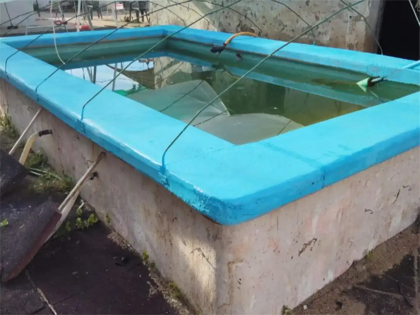 Piscina de Casa o xalet en venda en Riolobos amb Jardí privat i Piscina