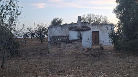 Foto 2 de Casa o xalet en venda a Pelagatos - Pago del Humo, Cádiz