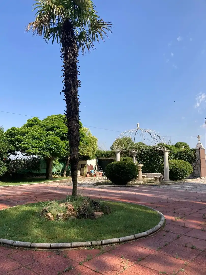 Jardín de Casa o chalet en venta en Aranjuez con Jardín privado y Piscina