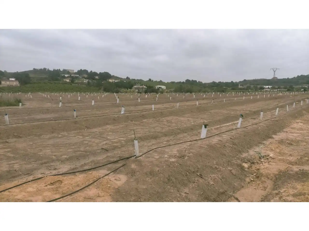Terreno rustico in vendita a Calle XARCOS SECS, imagen 4