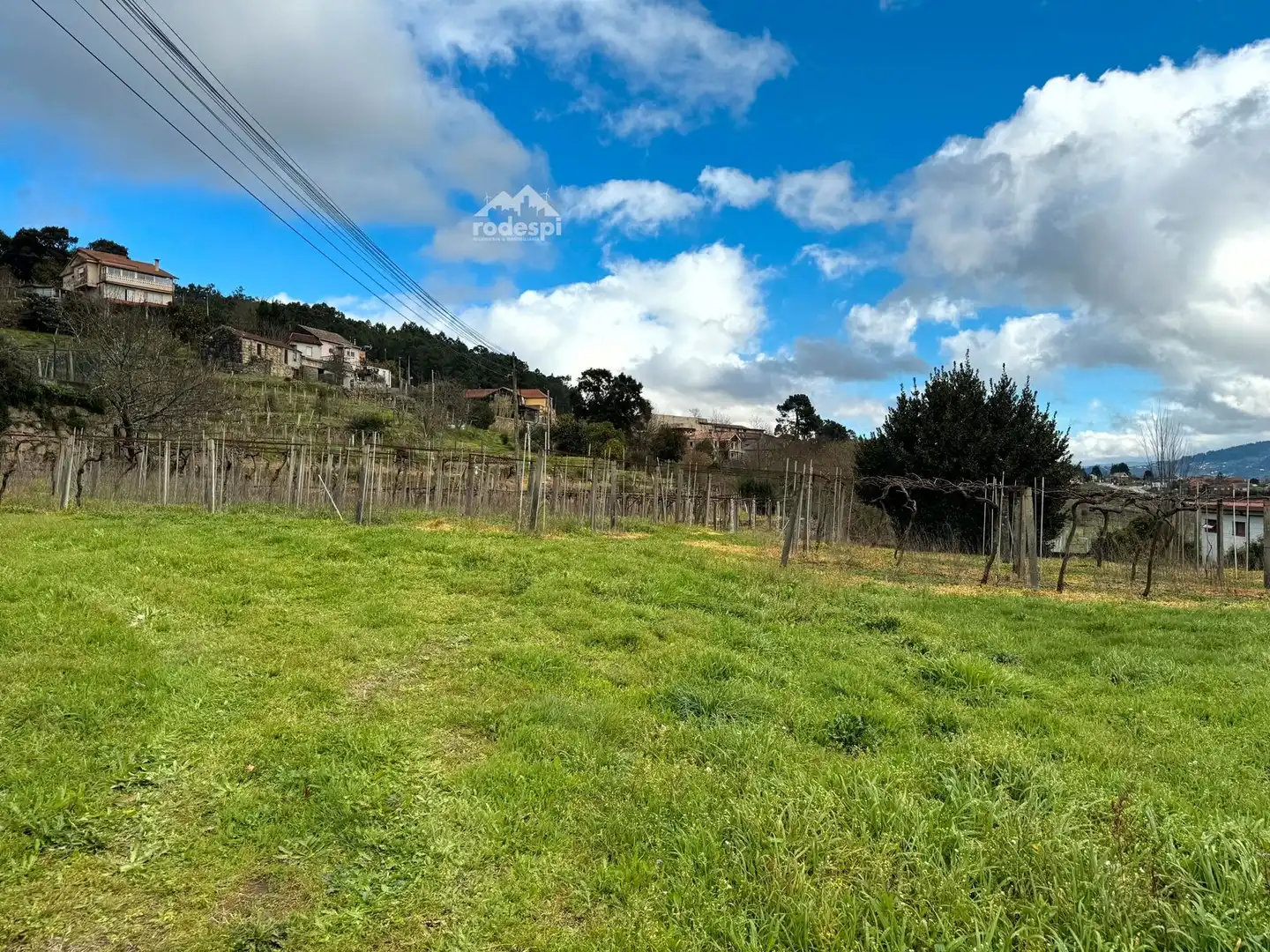 Rural land for sale in Arbo, imagen 37