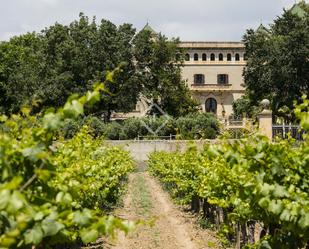 Vista exterior de Finca rústica en venda en Banyeres del Penedès amb Terrassa i Piscina